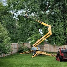 Best Leaf Removal  in Kimball, NE